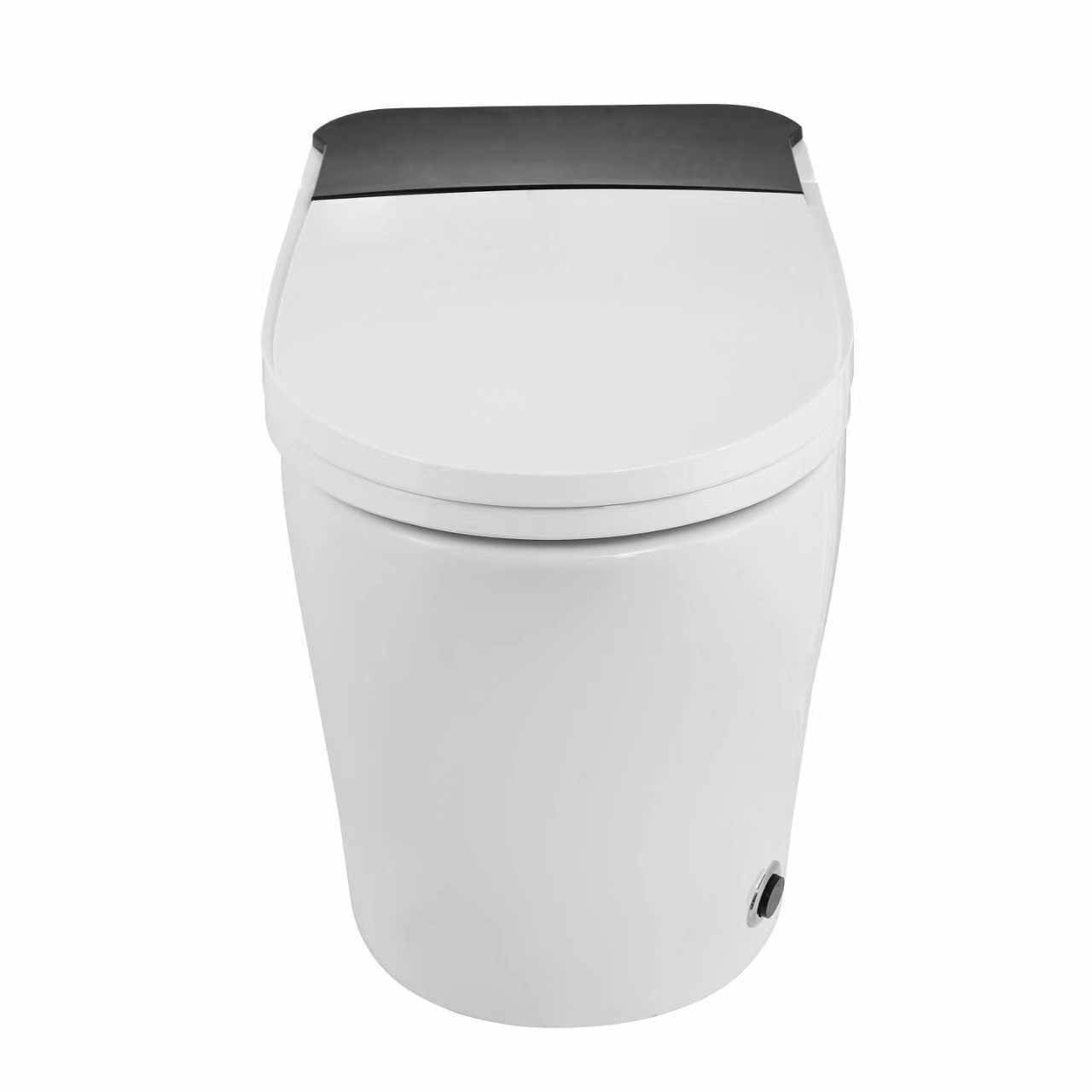Smart Toilet Front View