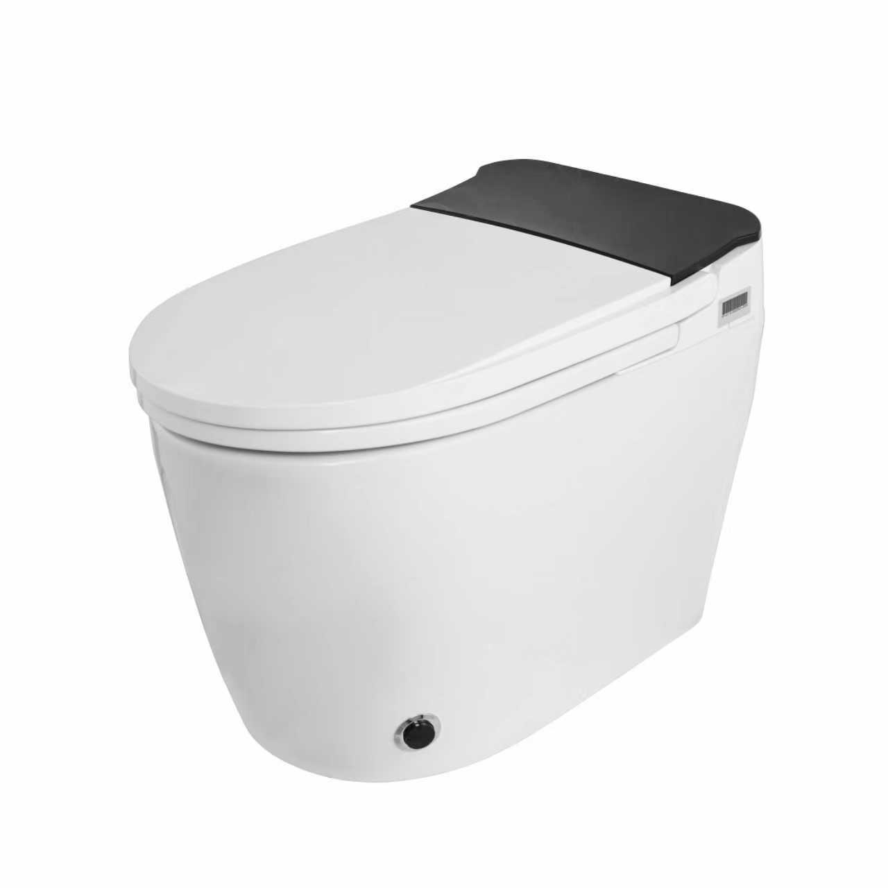 Smart Toilet with Bidet